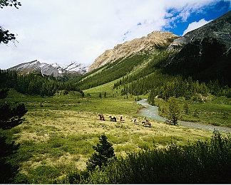 微软总裁改口 称英国监管机构很强硬但也很公平